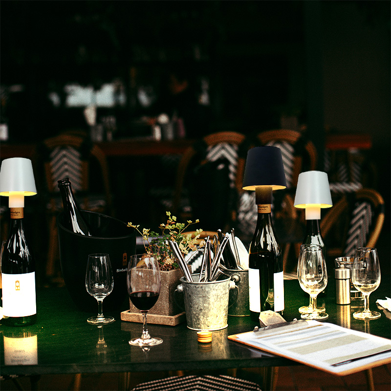 Wiederaufladbare dimmbare Wein – Wine & Beer Hydrometer Bewertung und Preis
